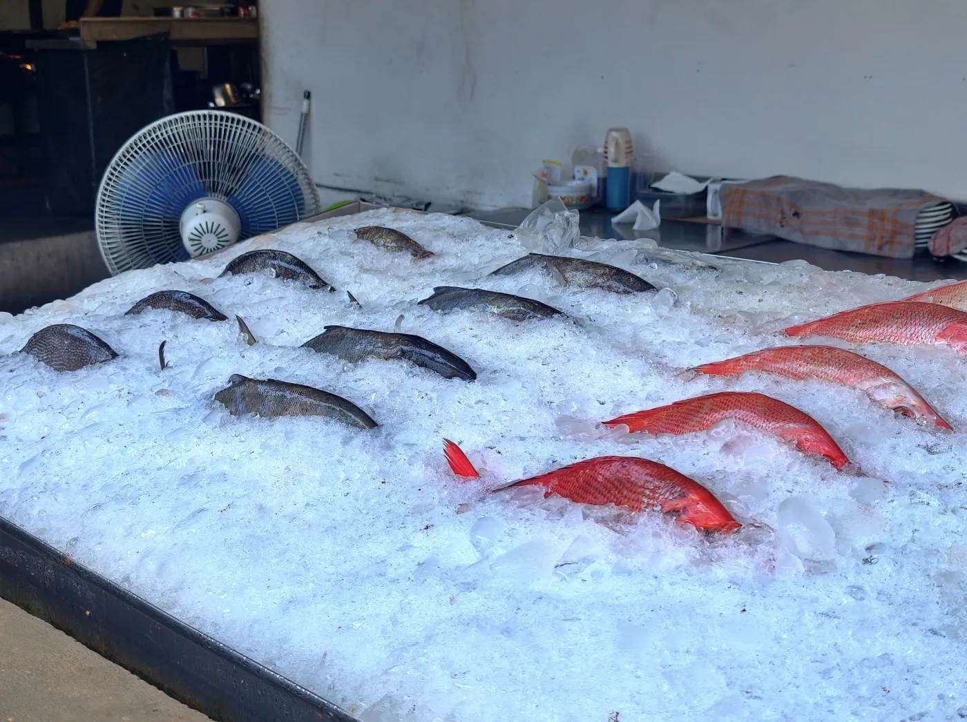 Tim dapur Ocean's Resto sedang bekerja